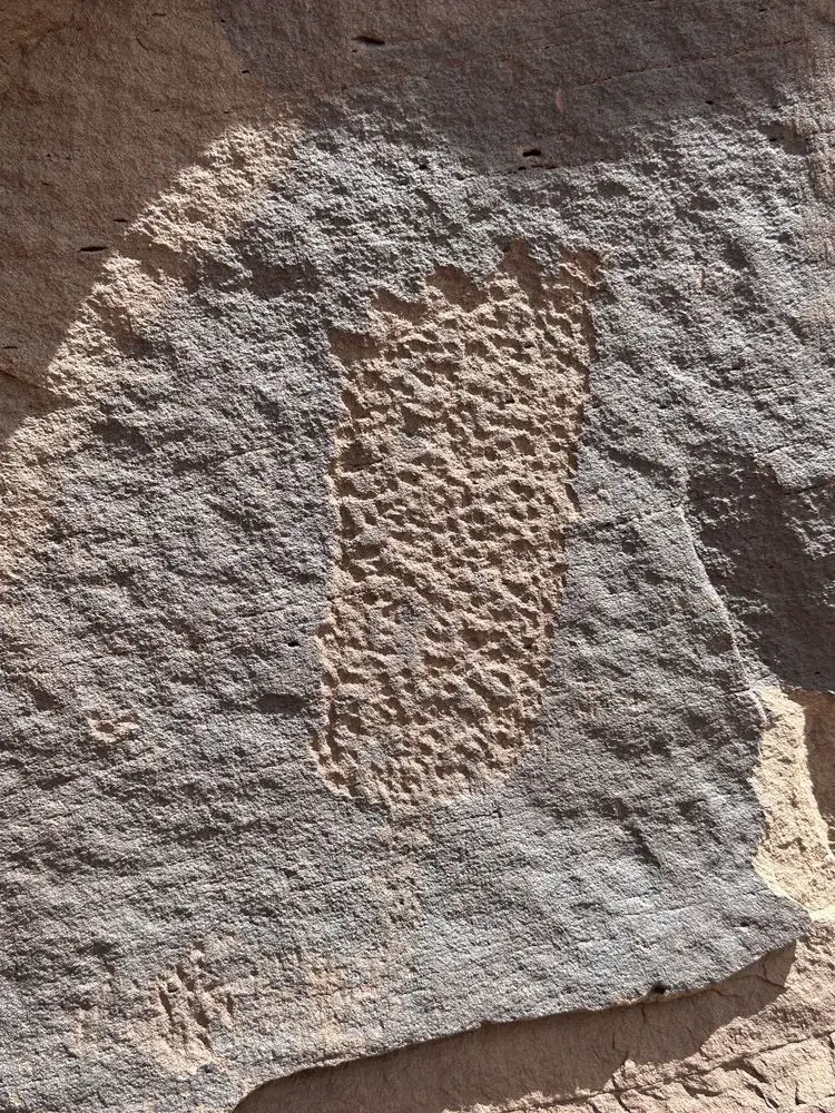 Petroglyphs of animals